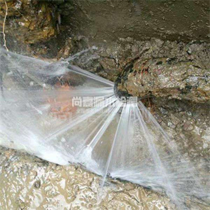 沉湖管委会消防管道漏水检测